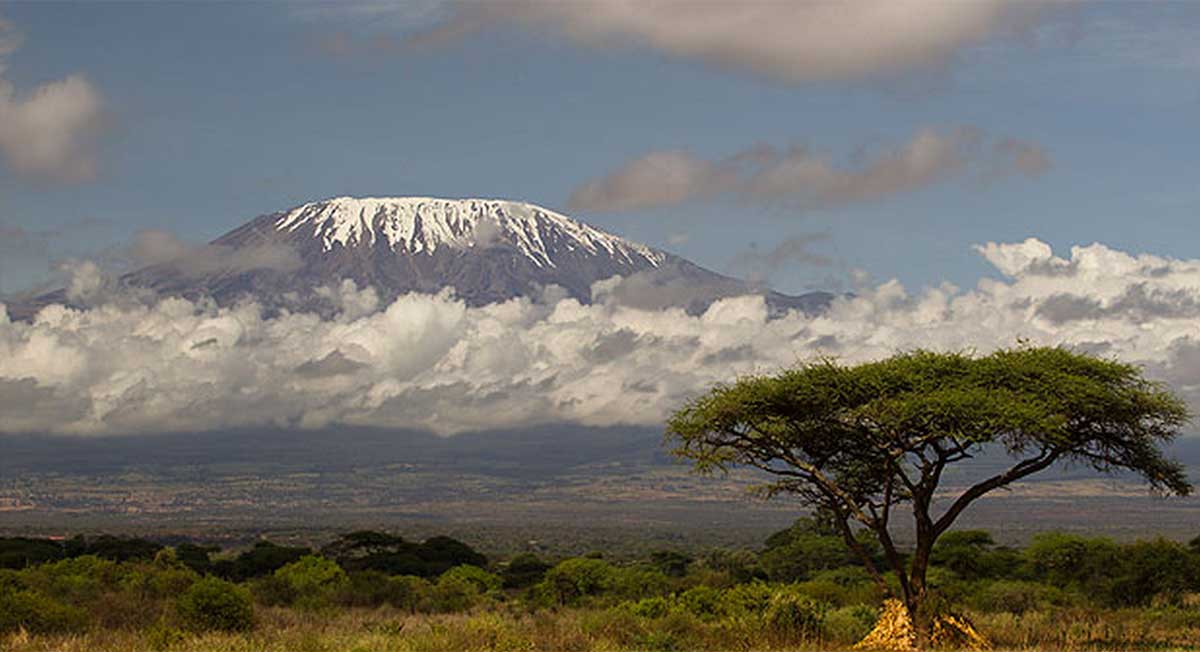 Kilimanjaro