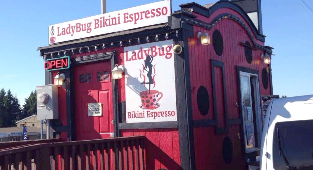 Ladybug Bikini Espresso Seattle