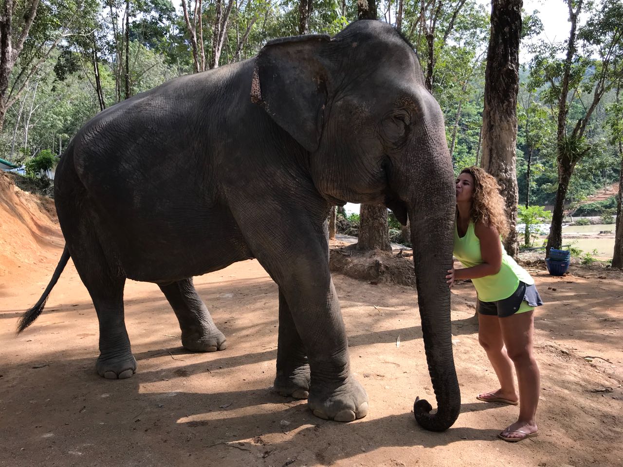 Amanda kisses an elephant at the Elephant Jungle Sanctuary, Phuket, Thailand
