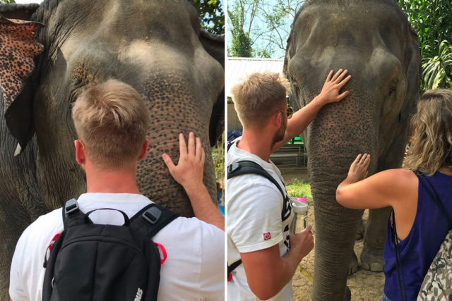 Playing with the giants at the Elephant Jungle Sanctuary, Phuket, Thailand