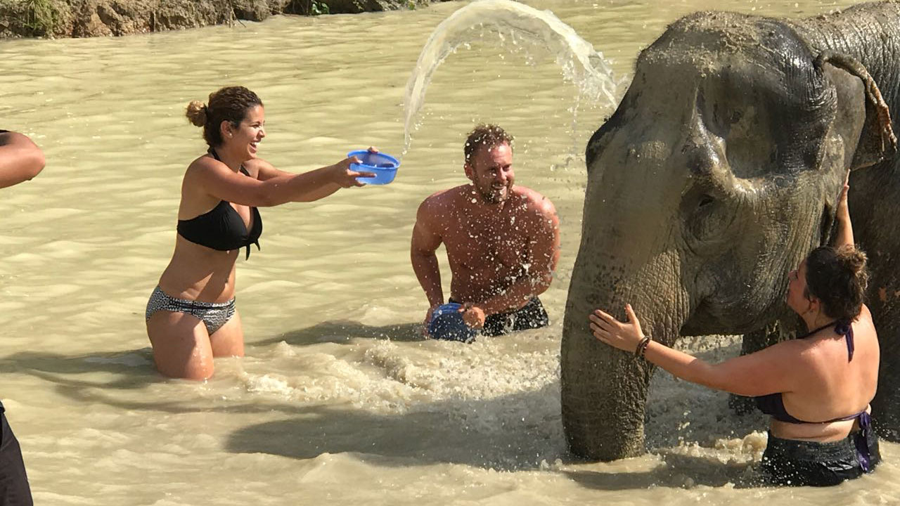 Washing the muddy elephant at the Elephant Jungle Sanctuary, Phuket, Thailand
